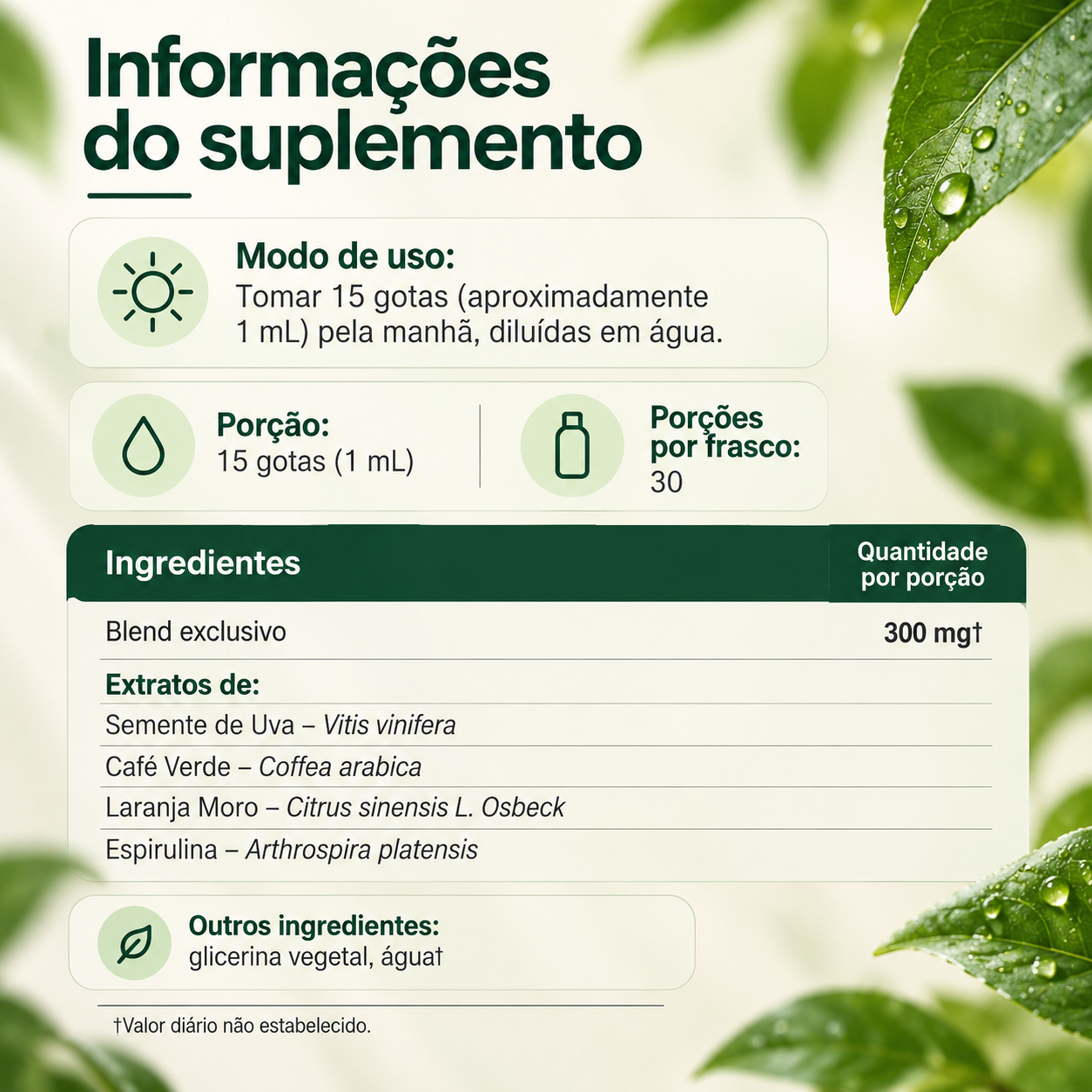 Vitalis DrenaFit - ilustração do sistema linfático